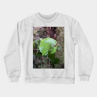 Kidney fern 3 Crewneck Sweatshirt